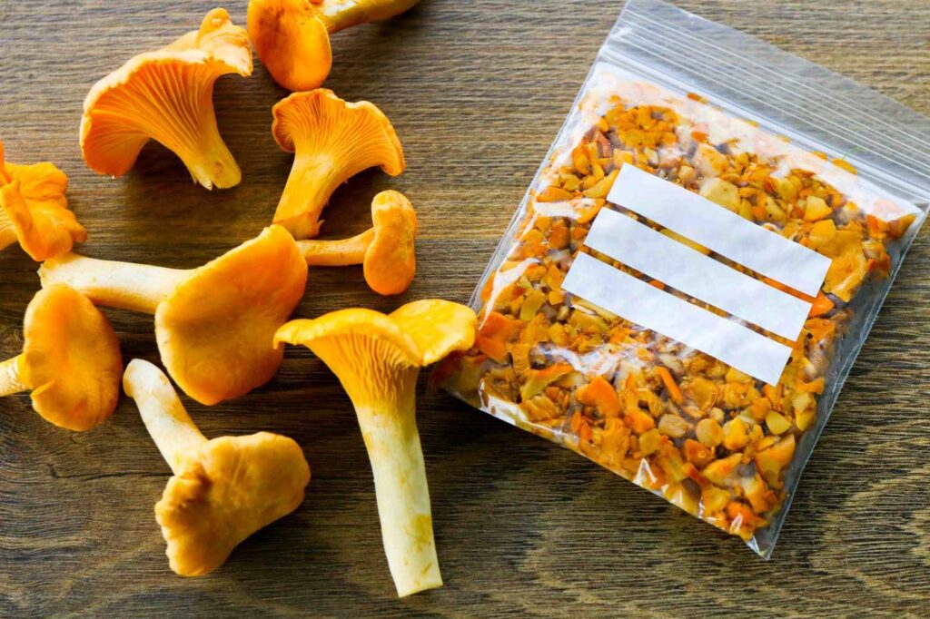 Kantarelleja tuoreena ja paistettuna