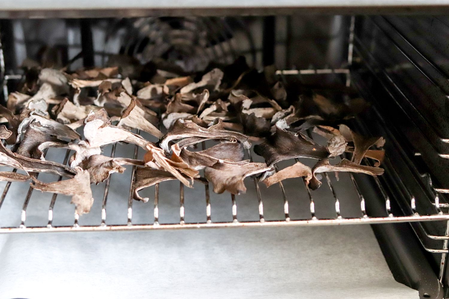 Mustatorvisieniä kuivumassa uunissa