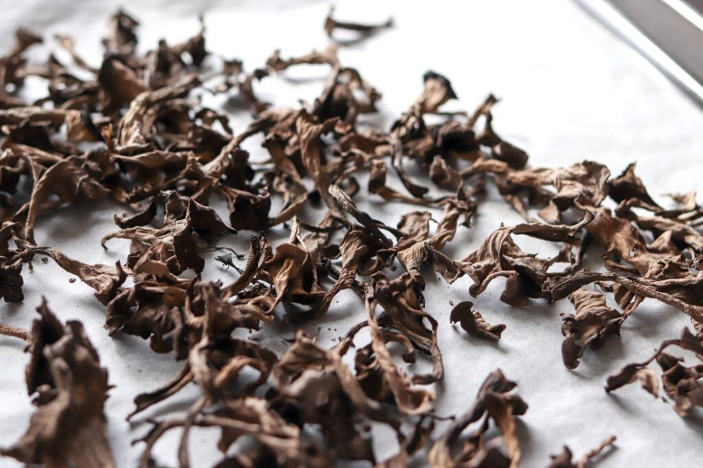 Kuivattuja mustatorvisieniä