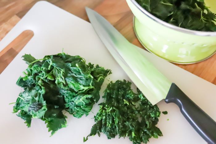 Nokkosen hienontaminen