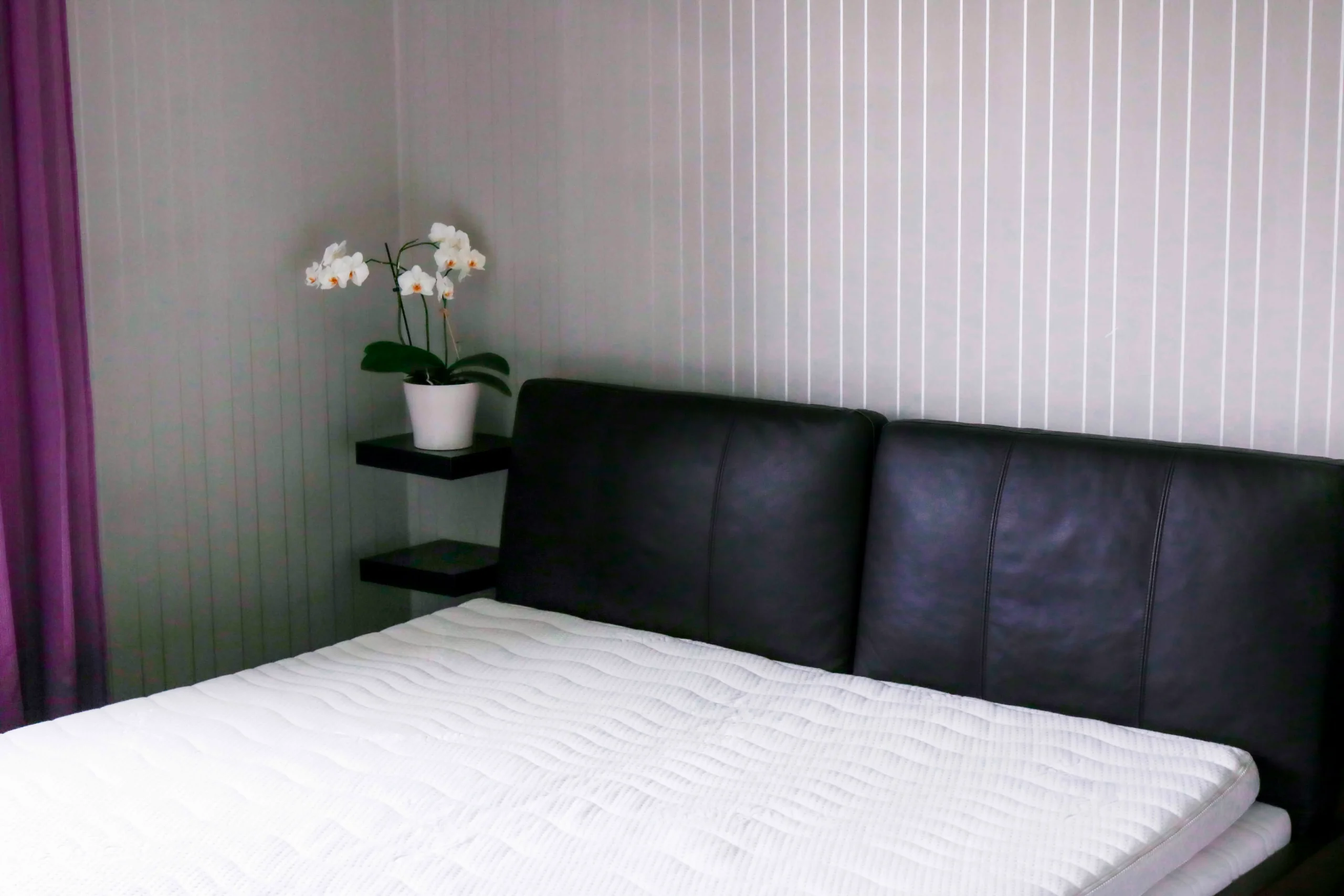 Petauspatjan päällinen