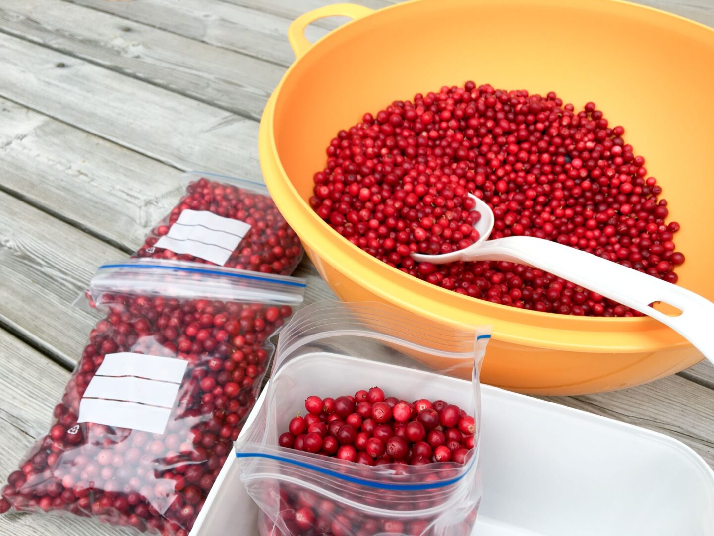 Puolukan pakastaminen kokonaisena