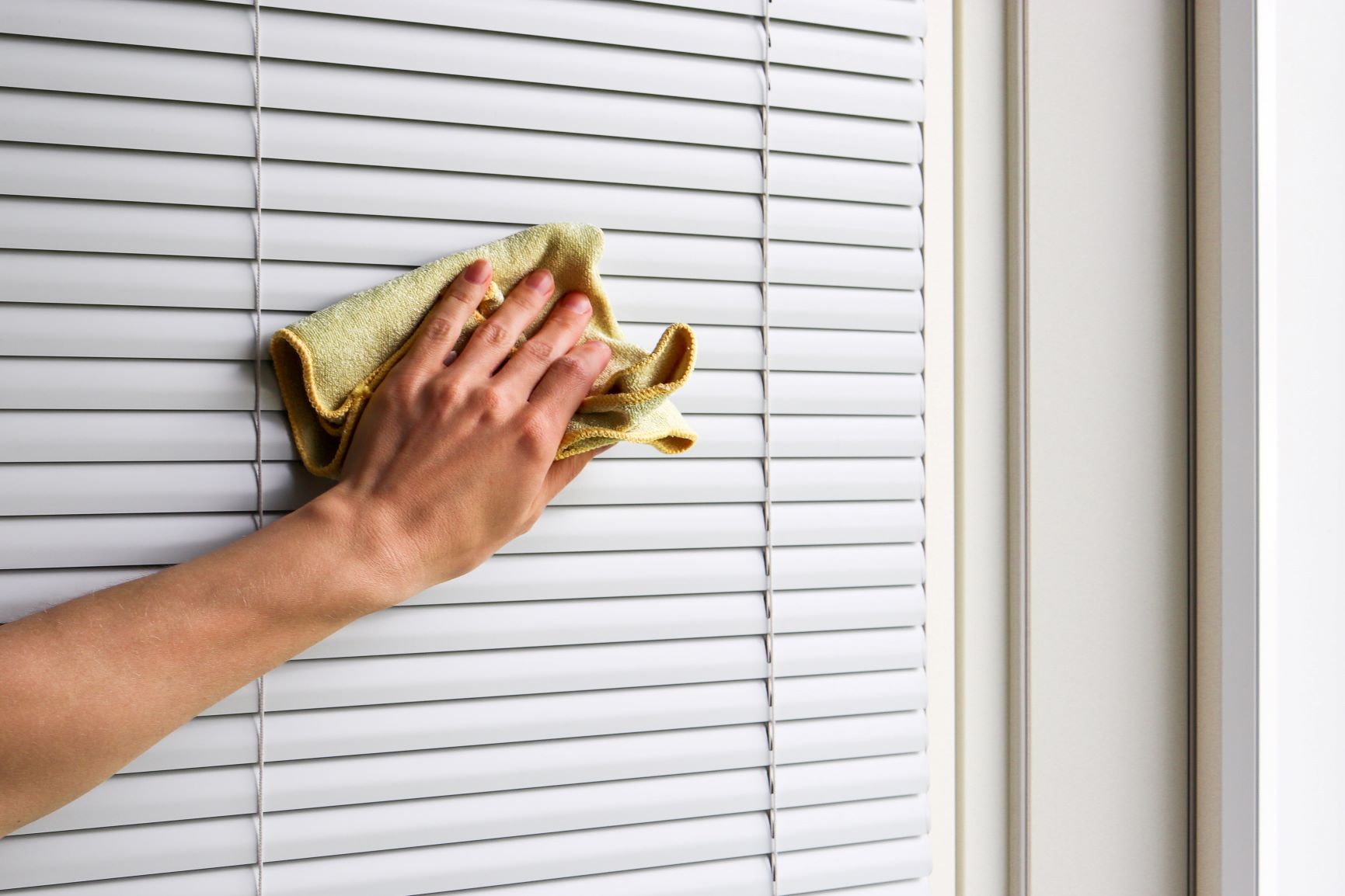 Sälekaihtimien puhdistus