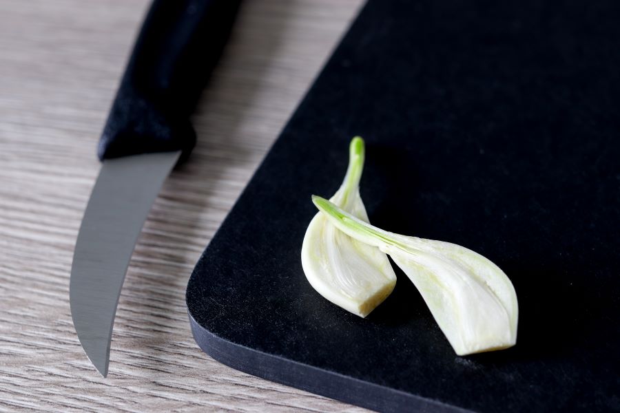 Itänyt valkosipuli halkaistuna