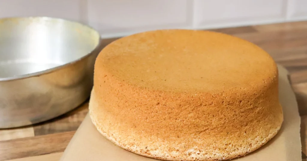 6 munan kakkupohja ennen täyttämistä.