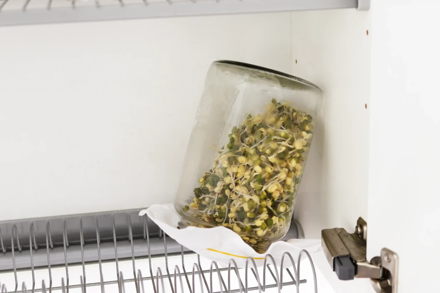 Mungpapuja itämässä lasipurkissa