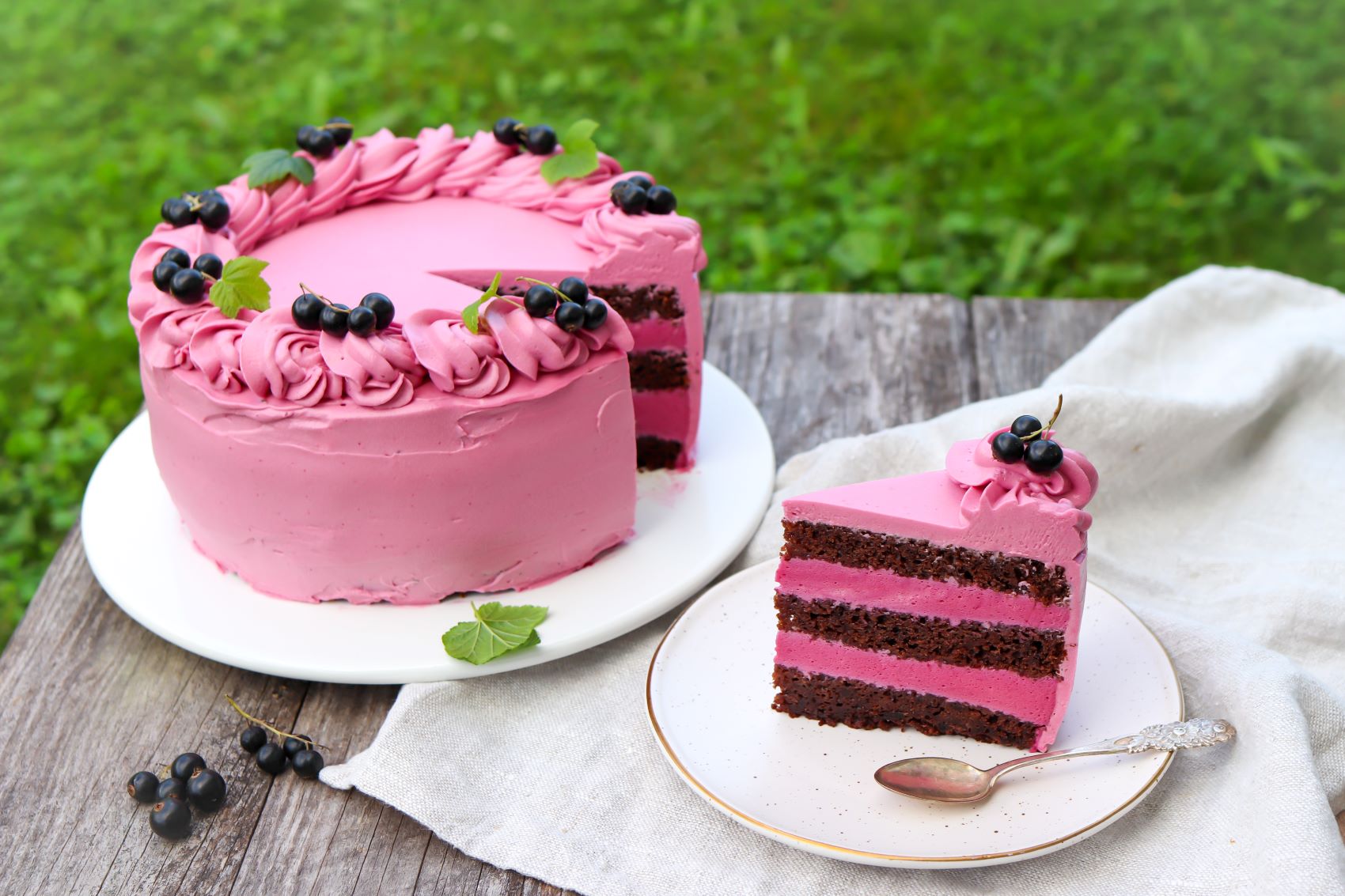 Mustaherukkakakku, jonka koristeena on pursotuksia ja tuoreita mustaherukoita