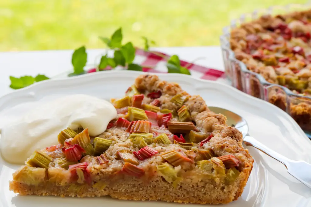 Raparperipiirakkaa lautasella.