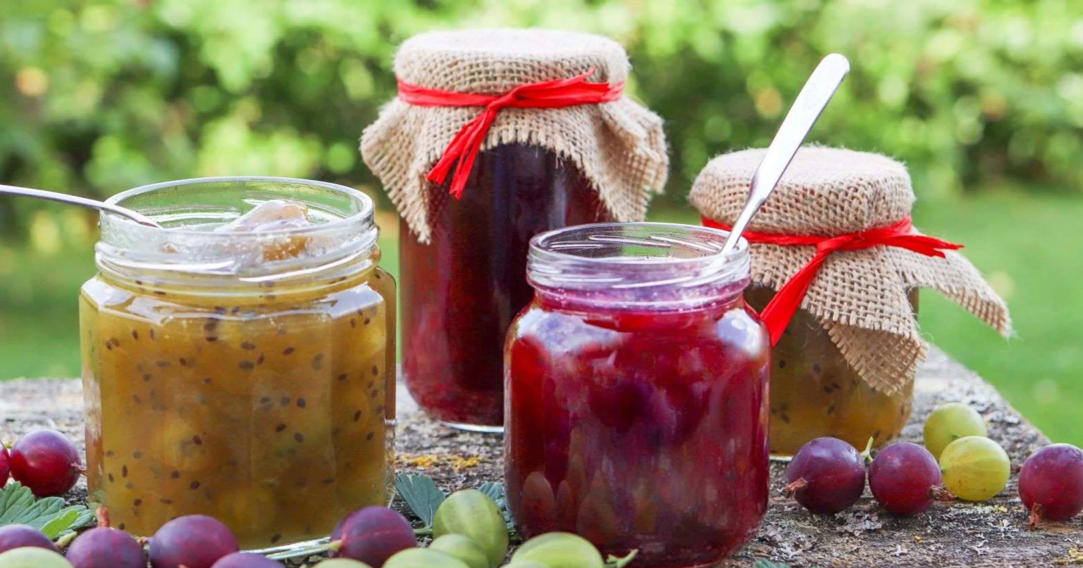 Kaksi eri väristä karviaishilloa lasipurkeissa.