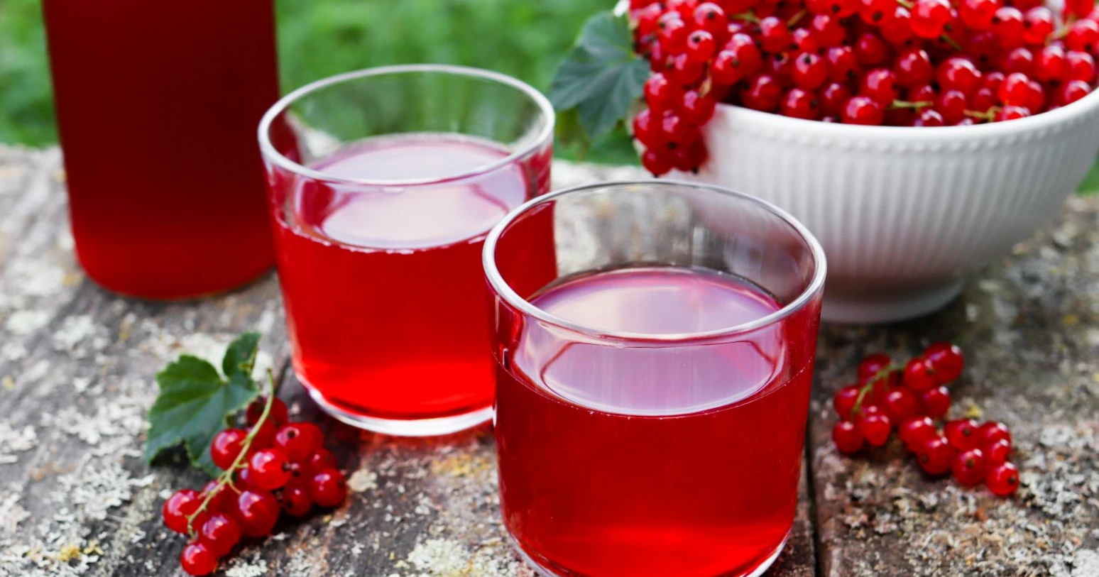 Viinimarjamehu laseissa sekä kulhollinen marjoja.